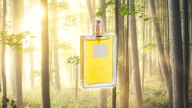 Ce înseamnă parfum tester. De ce se vinde la un preț mai mic