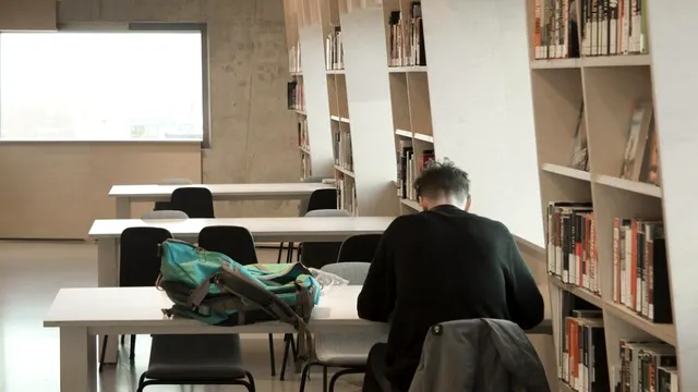 Rezolvare subiecte Evaluarea Națională 2022 la limba maternă. Cum se rezolvau, de fapt, subiectele