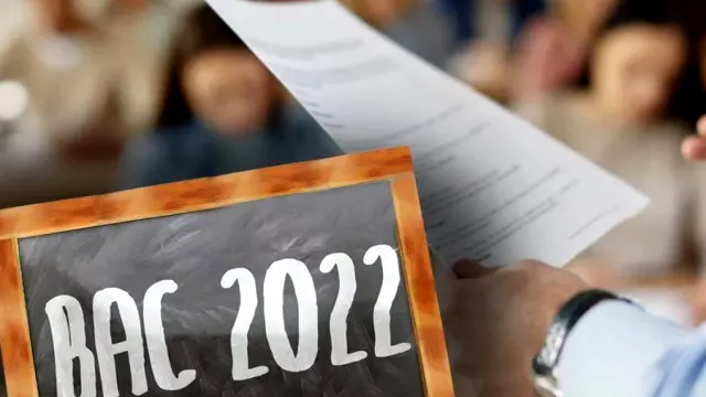 Rezolvare subiecte BAC 2022 sesiunea de toamnă la limba română. Baremele de corectare