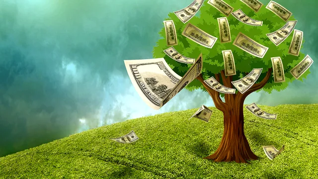 Arborele banilor: cum se îngrijește și ce beneficii are. Atrage prosperitatea și norocul în casa ta