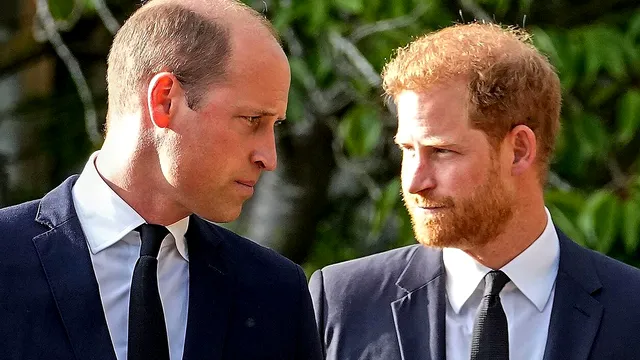 Oferta de pace a Prințului William, respinsă de Harry. Ar fi putut să-și rezolve problemele. De ce s-a temut
