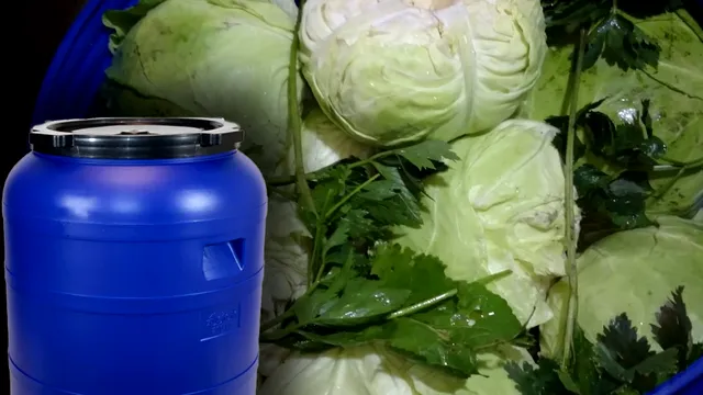 Cu ce trebuie să speli butoiul de varză. Așa trebuie să pregătești vasul corect