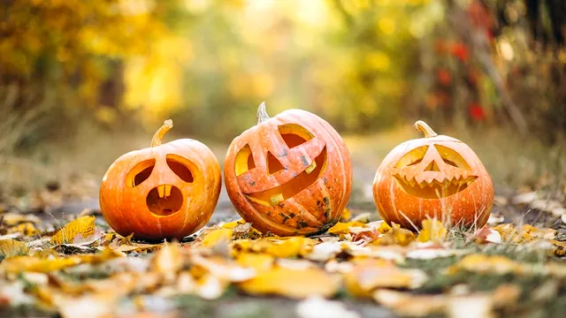 Ce să faci cu dovlecii sculptați de la Halloween. 3 moduri prin care poți să-i folosești