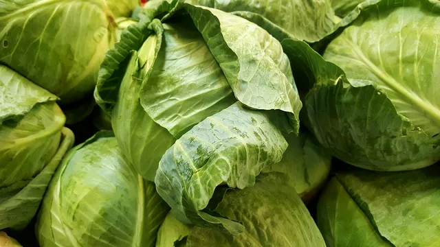 Ingredientul pe care trebuie să îl adaugi în butoiul cu varză murată peste o săptămână. Așa nu va mai face floare și zeama va rămâne limpede
