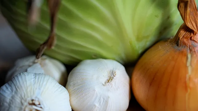 Nu pune niciodată acest ingredient în varza murată. Îi vei strica tot gustul și nici nu va rezista toată iarna