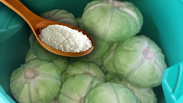 Ingredientul secret care păstrează zeama de la varza murată delicioasă și limpede. Trucul gospodinelor iscusite