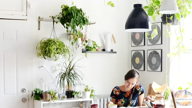 Plante cu puteri magice. Țin departe ghinionul și necazurile. Trebuie să le ai mereu în casă