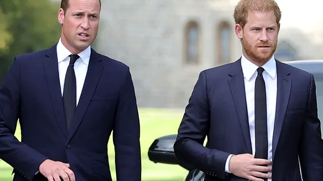 A fost scandal monstru între prințul Harry și prințul William. Soțul lui Meghan Markle își acuză fratele de agresiune fizică