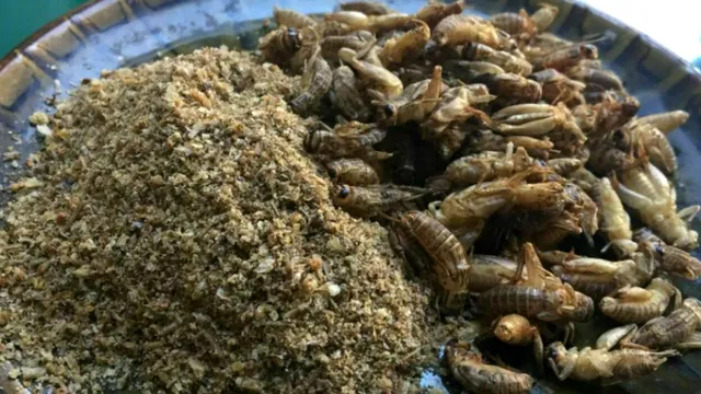 Făina de greiere a apărut și în România. Cât costă 100 de grame. Prețul este uriaș