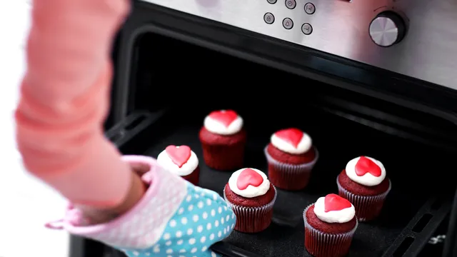 Când se folosește ventilația la cuptorul electric. Detaliul important de știut
