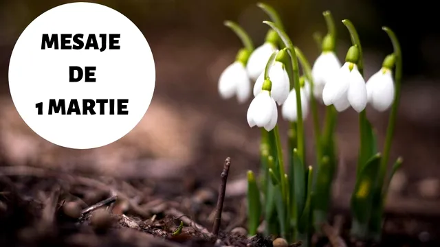 Mesaje de 1 Martie 2023. Urări și felicitări frumoase de Mărțișor