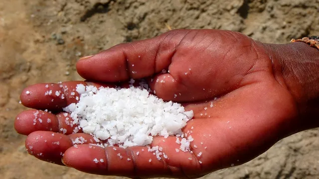 De ce să presari sare în grădina casei. Trucul simplu de mare ajutor, efectele sunt uimitoare
