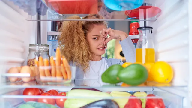 Butonul din frigider care te ajută să eviți mirosurile neplăcute. Puțini știu de el