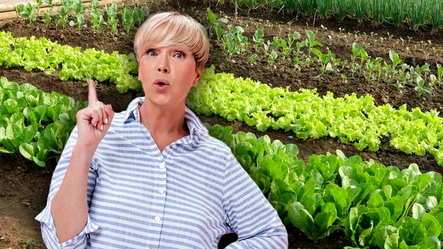 Ce să presari în grădină pentru a scăpa de buruieni. Ingredientele banale care fac minuni