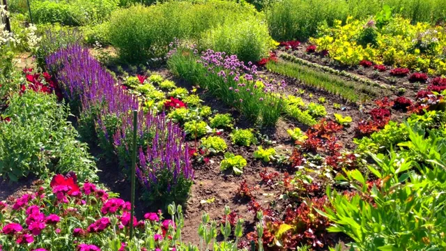 Florile pe care nu trebuie să le plantezi sub nicio formă lângă legume. Îți vor distruge toată recolta