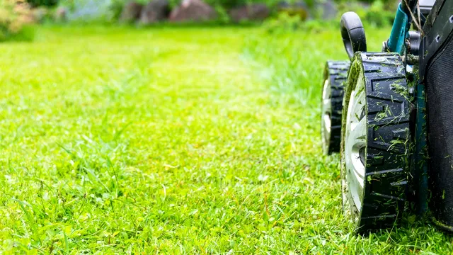 Momentul ideal din zi pentru a tunde iarba din curte. Așa te vei bucura mereu de un gazon perfect. Secretul dezvăluit de un expert în grădinărit