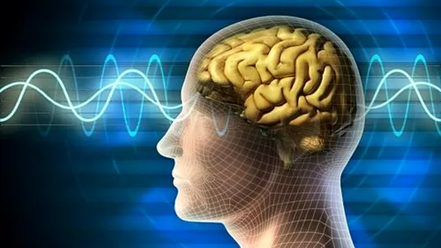 Câtă informație poate acumula creierul uman. Detaliul fascinant descoperit de oamenii de știință