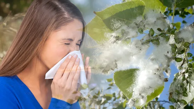 Ce trebuie să faci neapărat dacă ai alergie la puful de plop. Asta te va ajuta enorm