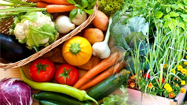 Legume care se plantează în iunie. Ce trebuie să faci pentru a te bucura de o grădină bogată