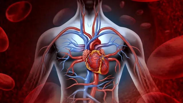 Singurul organ din corpul uman care se regenerează. Ce trebuie să știi despre această regenerare celulară