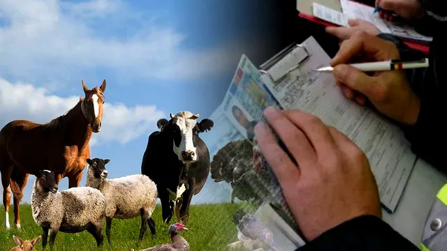 Animalele pe care românii nu vor mai putea să le crească în curte. Stupoare pentru mulți, ce apare în proiectul de lege