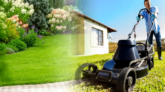 Când se tunde gazonul și cât e bine să iei din el, de fapt. Așa procedează cei mai pricepuți grădinari, regula de aur pentru o curte superbă