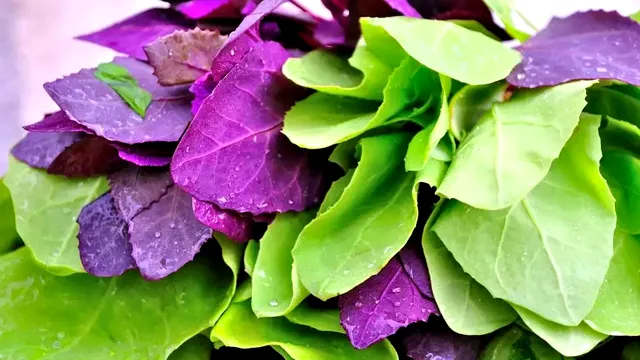 Ingredientul pe care să-l adaugi în ciorba de lobodă pentru un plus de savoare. Așa o vei prepara mereu, e cea mai bună rețetă