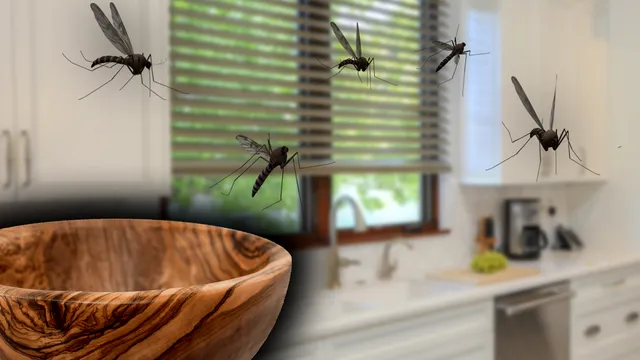 Metoda ieftină care te scapă de insecte. Trucul mai puțin cunoscut în România face minuni