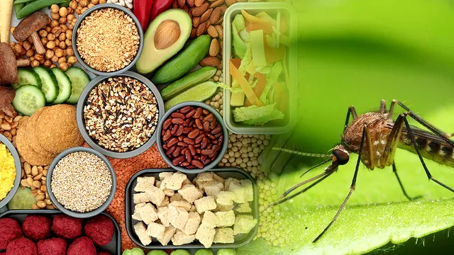 Alimentele pe care tânțarii le detestă. Ce să consumi ca să nu te mai piște niciodată