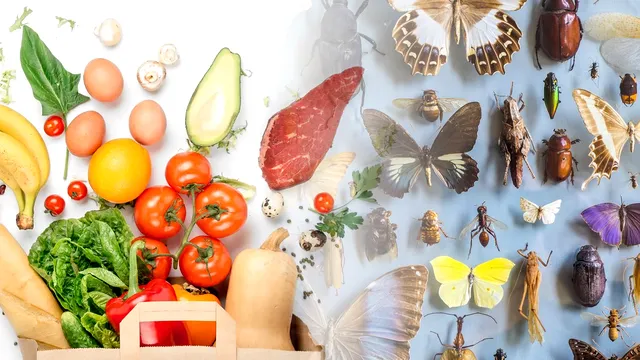 Alimentul banal care alungă insectele din casă. Metoda virală