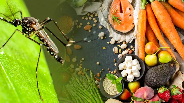 Alimentul care alungă țânțarii. Este aliatul ideal împotriva acestor insecte, cum trebuie să-l folosești de fapt