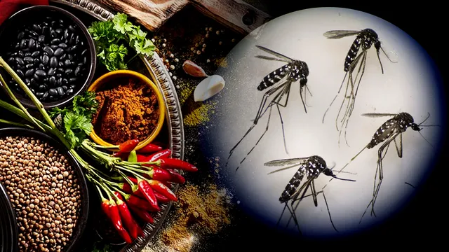 Amestecul puternic care te scapă de țânțari. Ingredientele se găsesc în orice gospodărie, trucul rezolvă o mare problemă