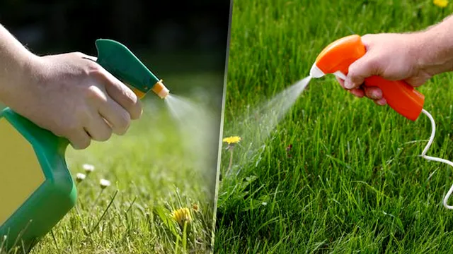 Care este cel mai bun erbicid natural. Soluția secretă care îți salvează grădina de buruieni și dăunători, puțini au aflat de ea