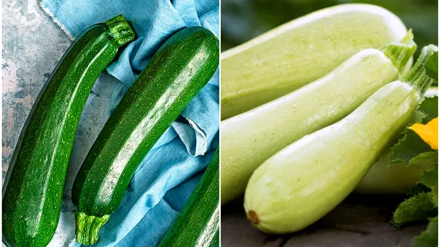 Care este diferența dintre dovlecei și zucchini. Mulți le confundă