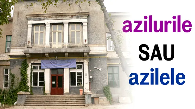 Care este pluralul cuvântului azil. Mulți români fac greșeala