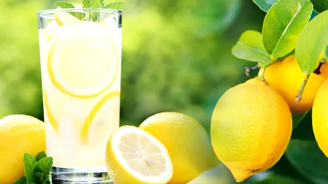 De câte lămâi ai nevoie pentru limonadă, de fapt. Ai procedat total greșit până acum, de asta nu iese delicioasă