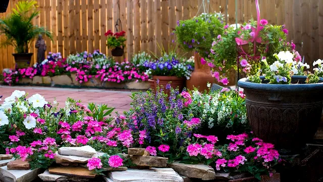 Plante care înfloresc noaptea. Sunt ideale vara pentru grădina ta