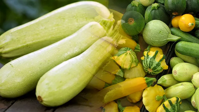 Secretul pentru o recoltă bogată de dovlecei. Ce trebuie să pui de fapt la rădăcina lor, așa te vei bucura de o producție mare