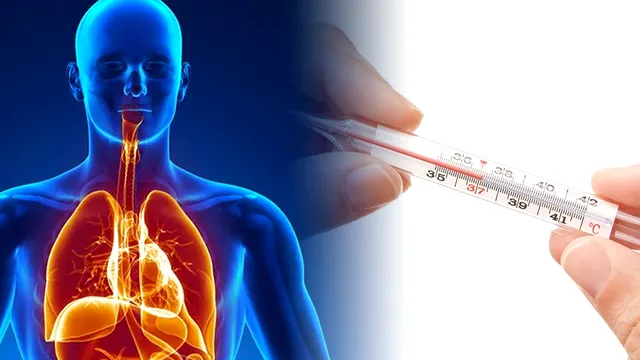 „Temperatura critică superioară pe care o poate suporta corpul uman. La ce concluzie au ajuns cercetătorii în urma unui studiu