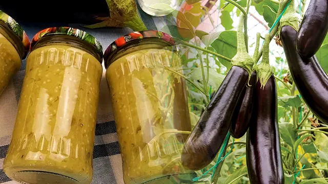5 greșeli mari când pui vinetele la borcan. De asta ies amare și nu se conservă bine