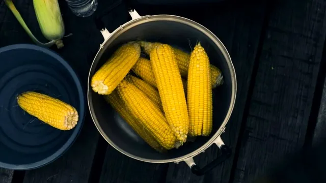 Cum să fierbi porumbul ca să iasă moale și delicios. Secretul de la țară pe care trebuie să-l știi