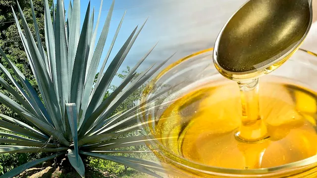 Ce conține siropul de agave, de fapt. Detaliul pe care puțini români l-au sesizat