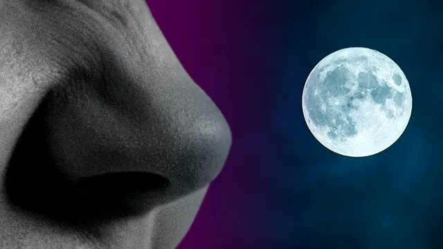 Cum miroase pe Lună, de fapt. Descoperirea uimitoare făcută de astronauți