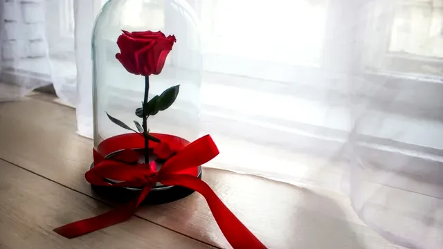 Cum sunt realizați trandafirii criogenați. Detaliul fascinant pe care nu l-a mai spus nimeni