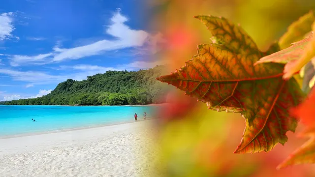 Cum va fi vremea la mare în luna septembrie 2023. Ce temperatură va avea apa Mării Negre