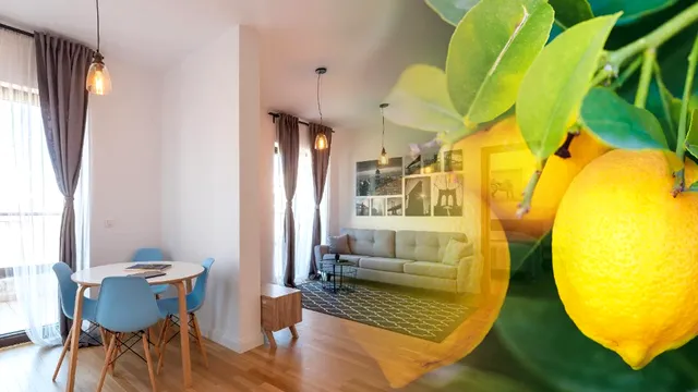 De ce să pui lămâie în toată casă, inclusiv în baie și bucătărie. Gestul banal cu efecte uriașe