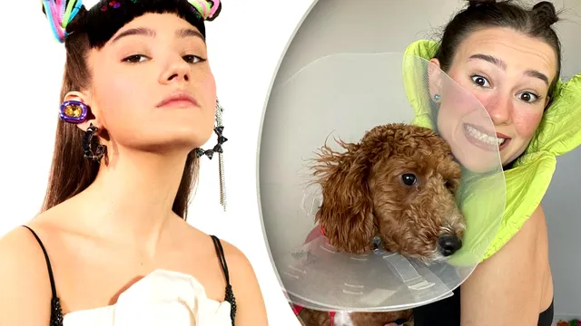 Mimi este singură de mai bine de 2 ani: ”Sunt foarte fericită în postura de mamă de câine”. Primul vlogger feminin din România face mărturisiri surprinzătoare despre viața personală VIDE EXCLUSIV