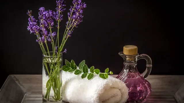 Plante deosebit de frumoase pe care să le ții în casă sau la birou. Așa alungi energia negativă din viața ta