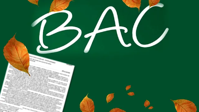 Rezolvare subiecte BAC 2023 sesiunea de toamnă la proba la alegere. Cât de dificile au fost subiectele