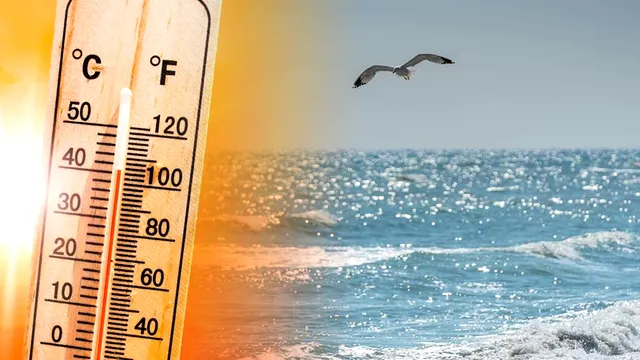 Temperatura Mării Negre în august 2023. Când se încălzește apa. Detaliul de care să ții cont pentru o vacanță reușită